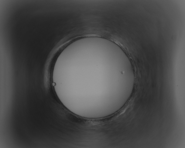 X0000100910343200806241055