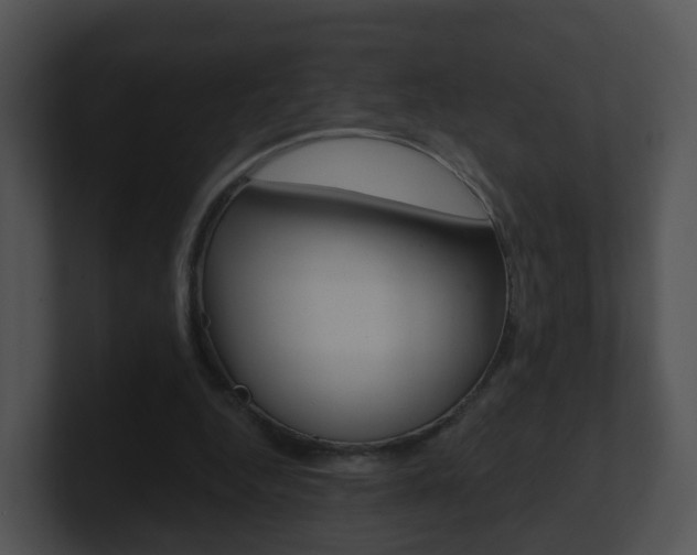 X0000100910344200806241055