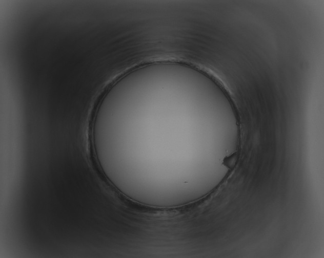 X0000100910345200806241055