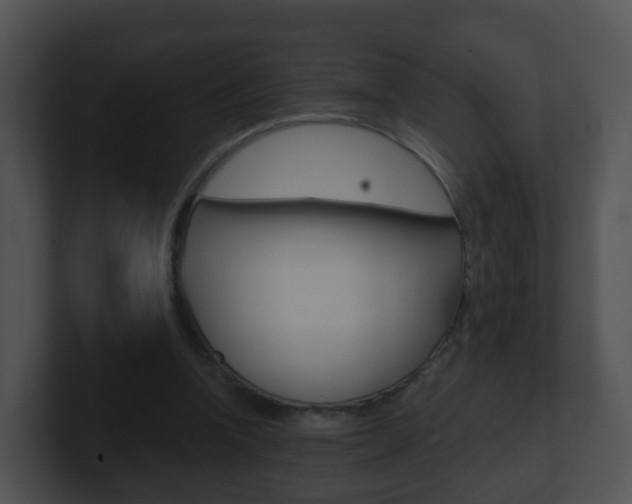 X0000100910346200806241055