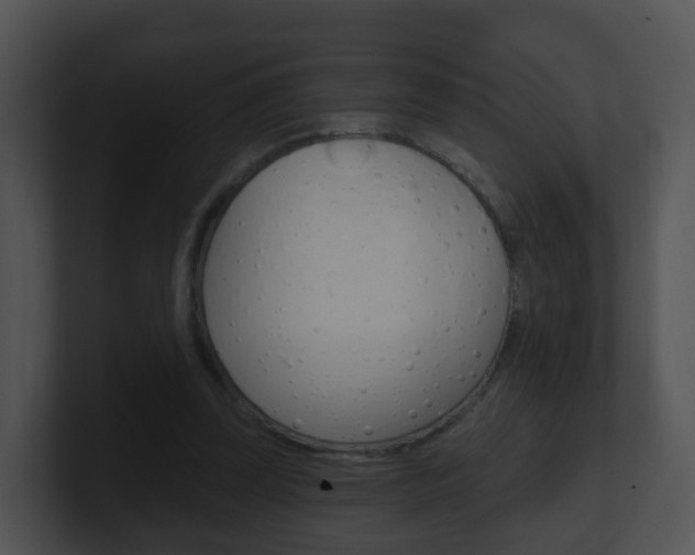 X0000100910347200806241055