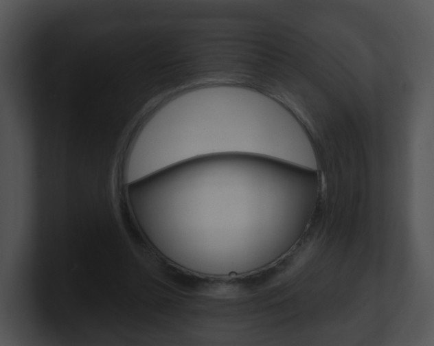 X0000100910348200806241055