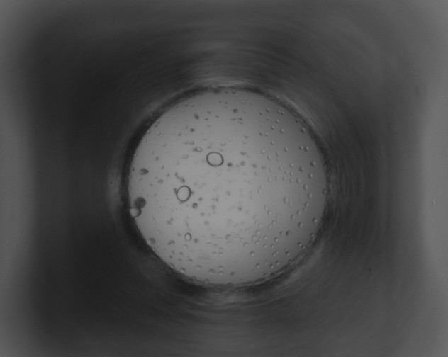 X0000100910351200806241055