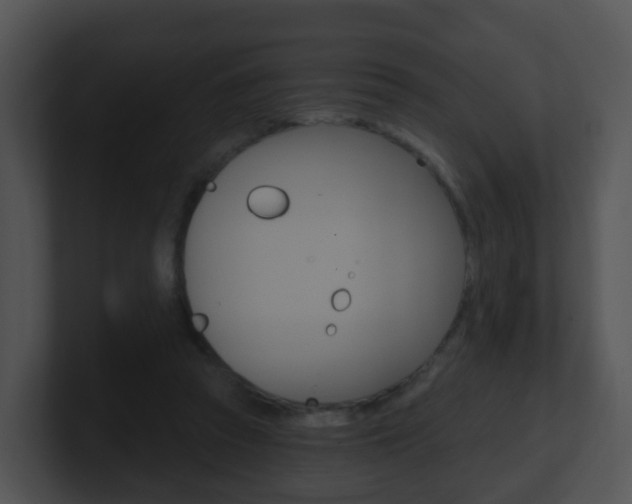 X0000100910353200806241055