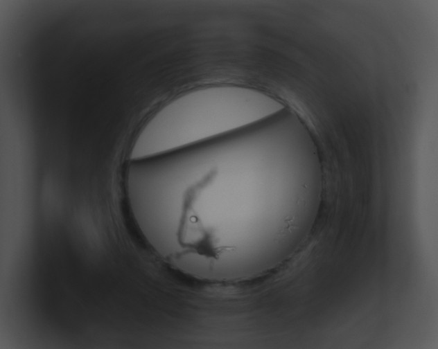 X0000100910354200806241055