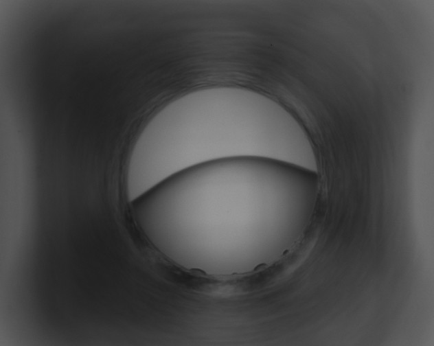X0000100910356200806241055
