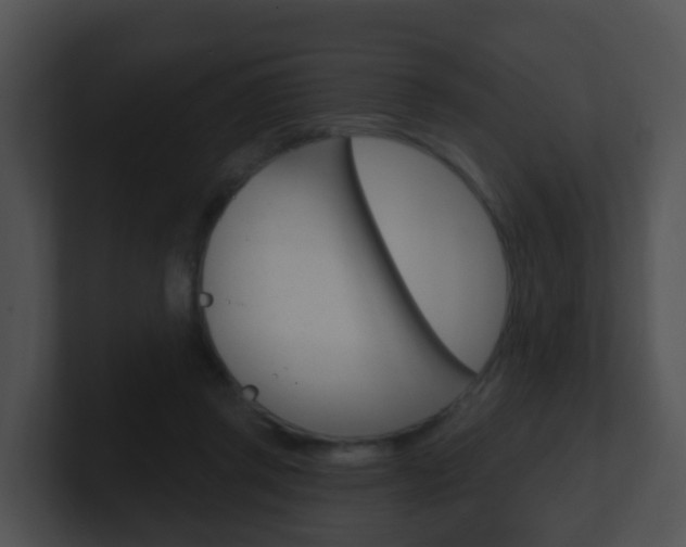X0000100910357200806241055