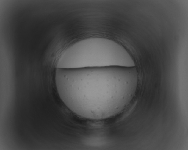 X0000100910359200806241056
