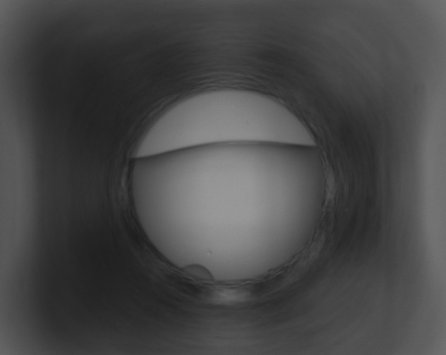 X0000100910360200806241056