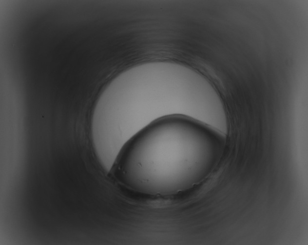 X0000100910362200806241056