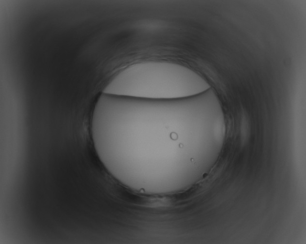 X0000100910363200806241056