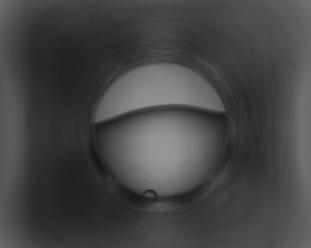 X0000100910364200806241056