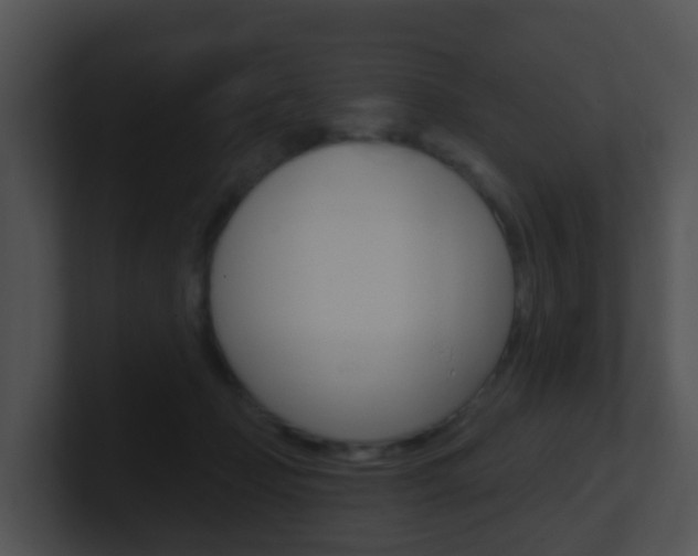 X0000100910365200806241056