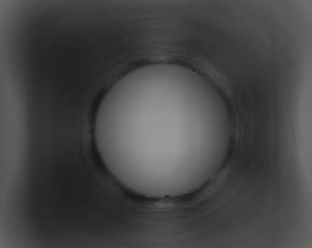 X0000100910366200806241056
