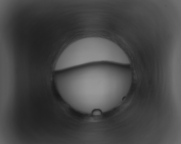 X0000100910368200806241056