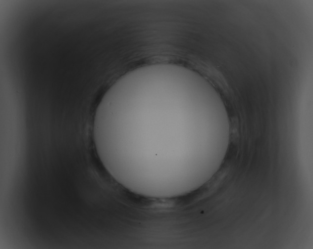 X0000100910369200806241056