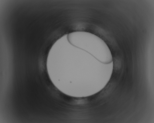 X0000100910370200806241056