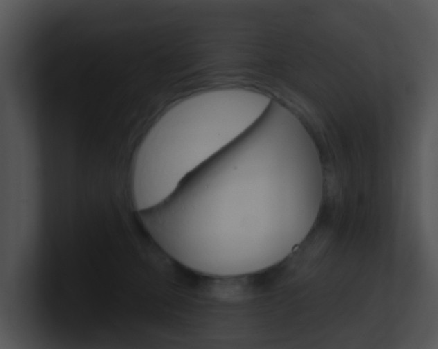 X0000100910373200806241056
