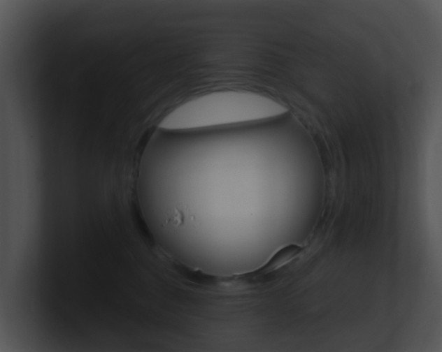 X0000100910376200806241056