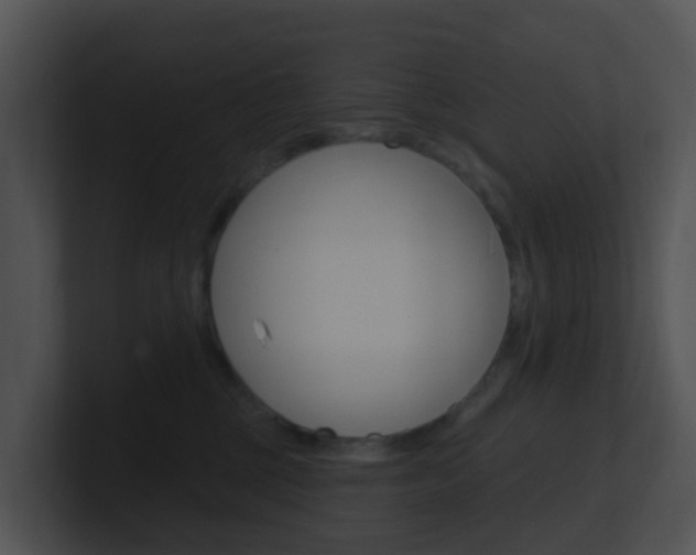 X0000100910377200806241056