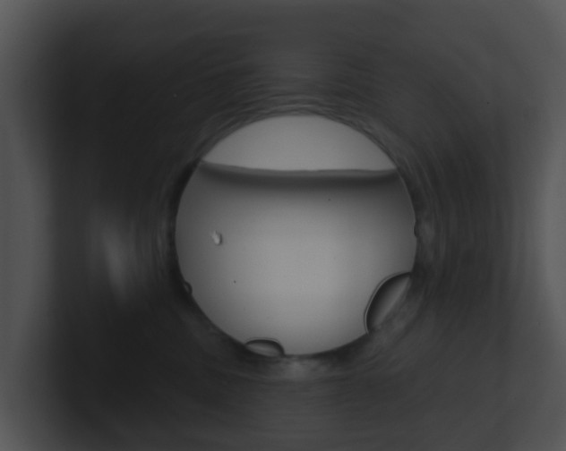 X0000100910379200806241056