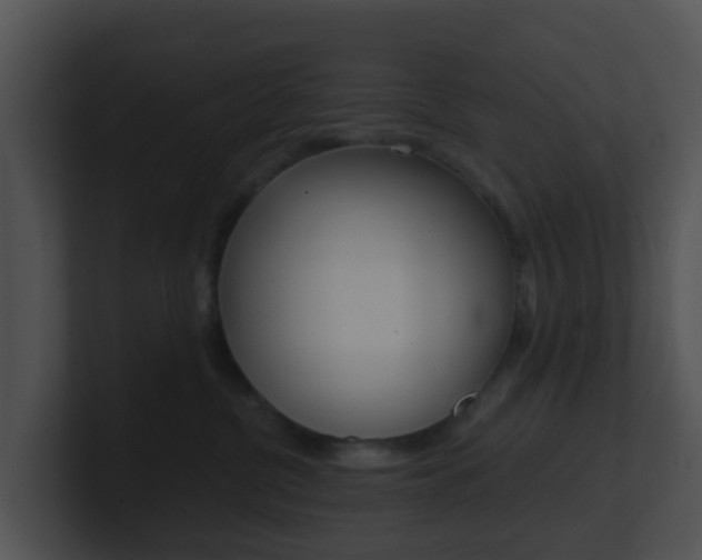 X0000100910380200806241056