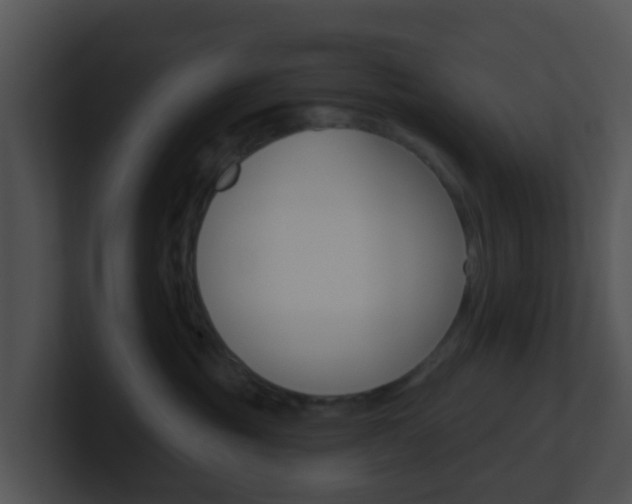 X0000100910381200806241056