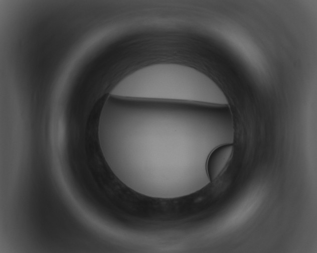 X0000100910383200806241056