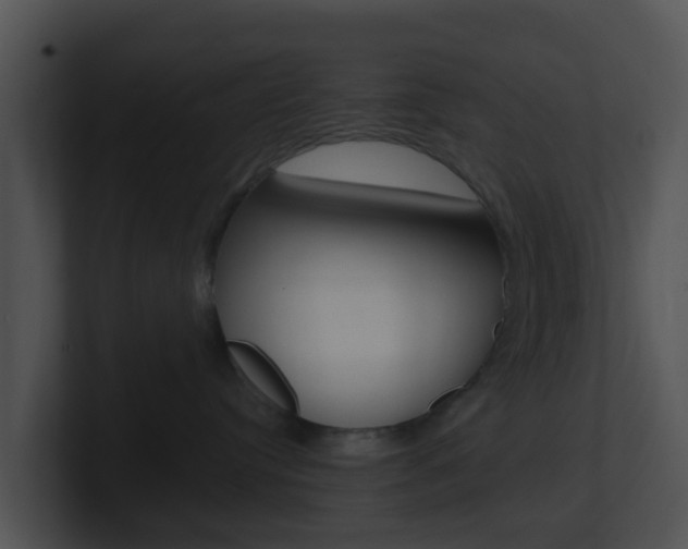 X0000100910384200806241056