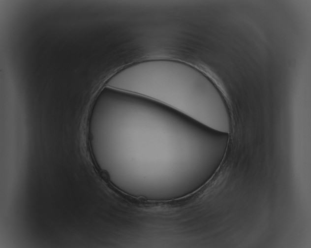 X0000100910385200806241055