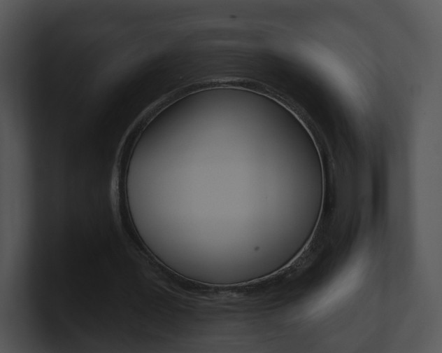 X0000100910387200806241055