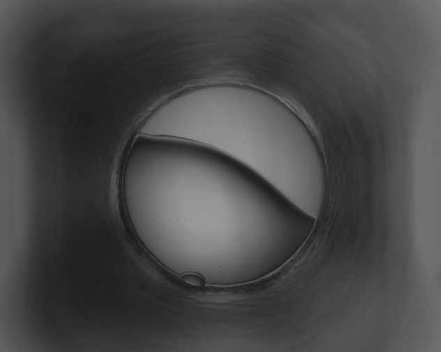 X0000100910389200806241055
