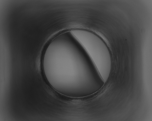 X0000100910391200806241055