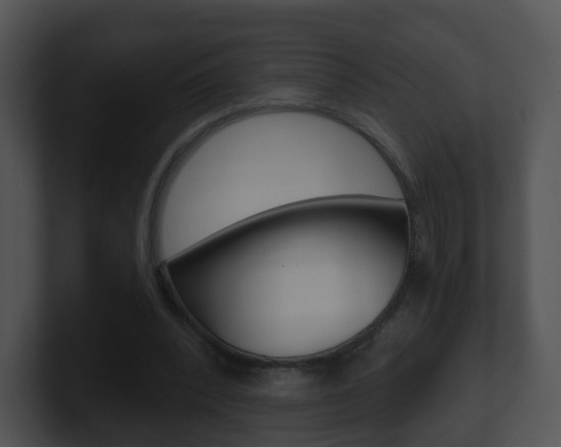 X0000100910392200806241055
