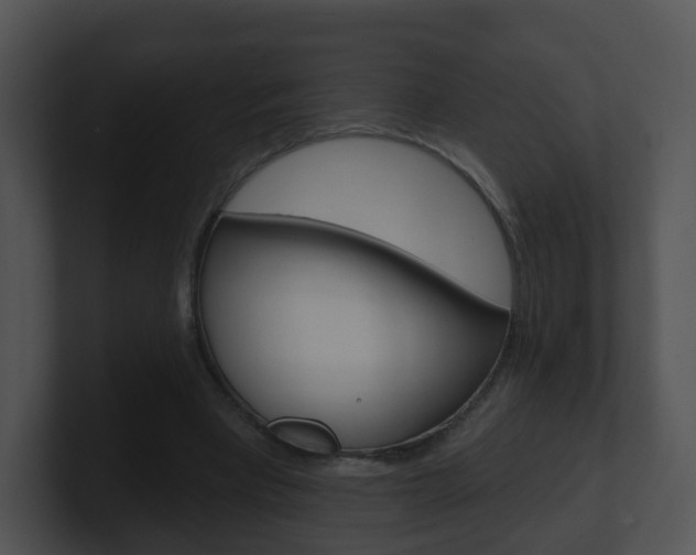 X0000100910393200806241055