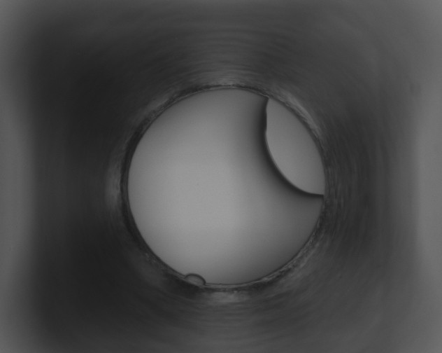 X0000100910394200806241055