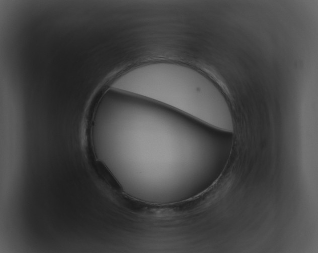 X0000100910395200806241055