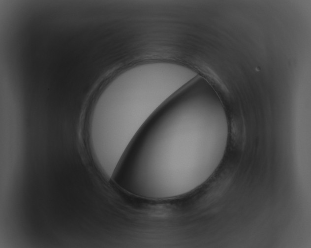 X0000100910396200806241055