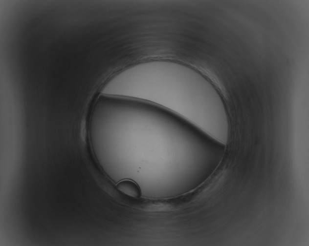 X0000100910397200806241055