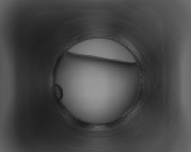X0000100910401200806241055