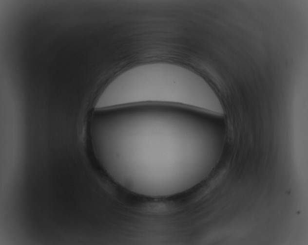 X0000100910404200806241055