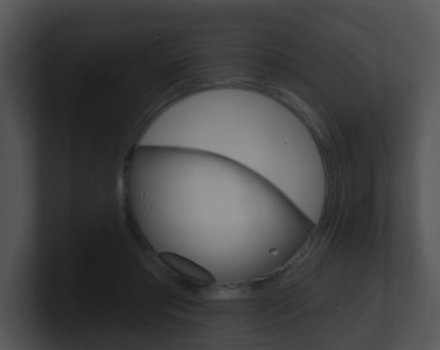X0000100910405200806241055