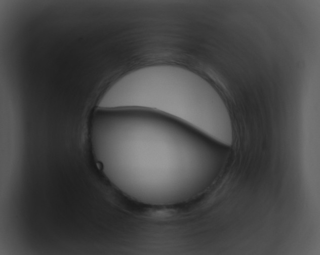 X0000100910407200806241055
