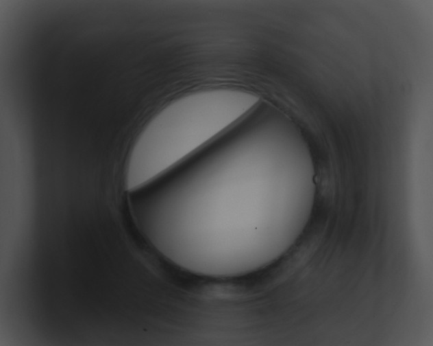 X0000100910408200806241055