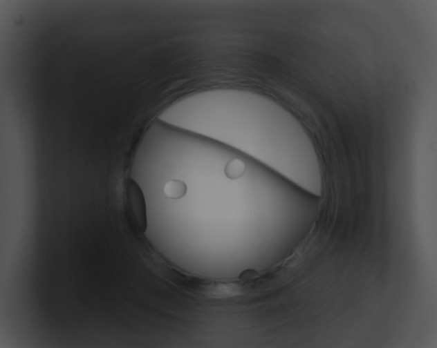 X0000100910409200806241055