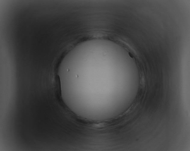X0000100910411200806241055