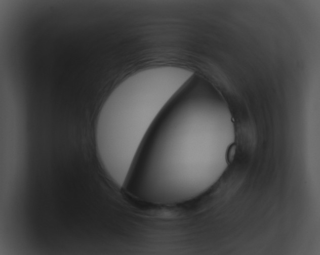 X0000100910412200806241055