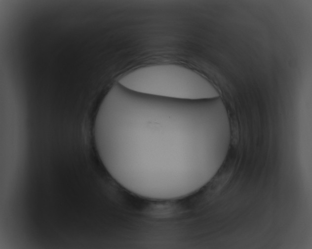 X0000100910414200806241055