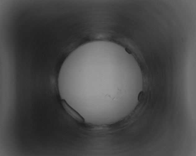 X0000100910415200806241055