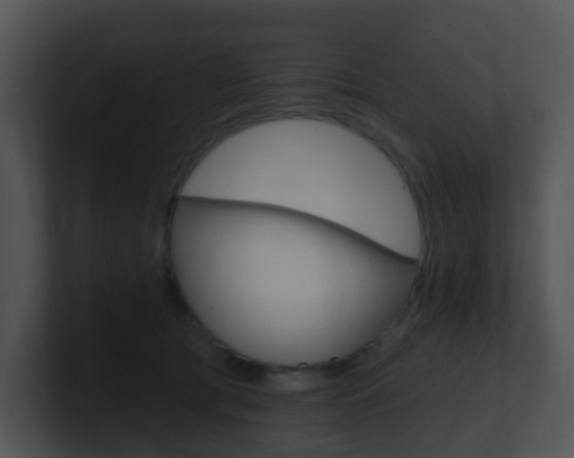 X0000100910417200806241055